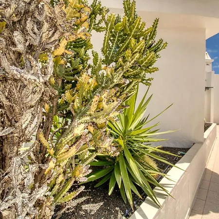 Appartamento Penthouse With Magnificent Ocean Views, Jacuzzi, Pool, Nearby Beach In Tenerife South *
